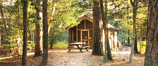 Camping Cabins at Delaware State Parks